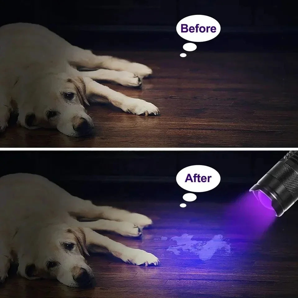 Portable Mini UV LED Flashlight - 365/395nm Ultraviolet Detection Light